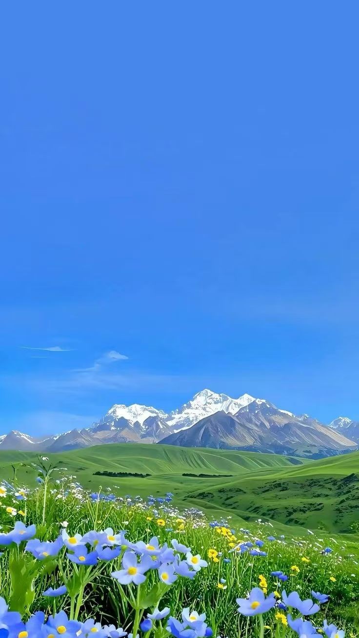 放下执念,放过自己